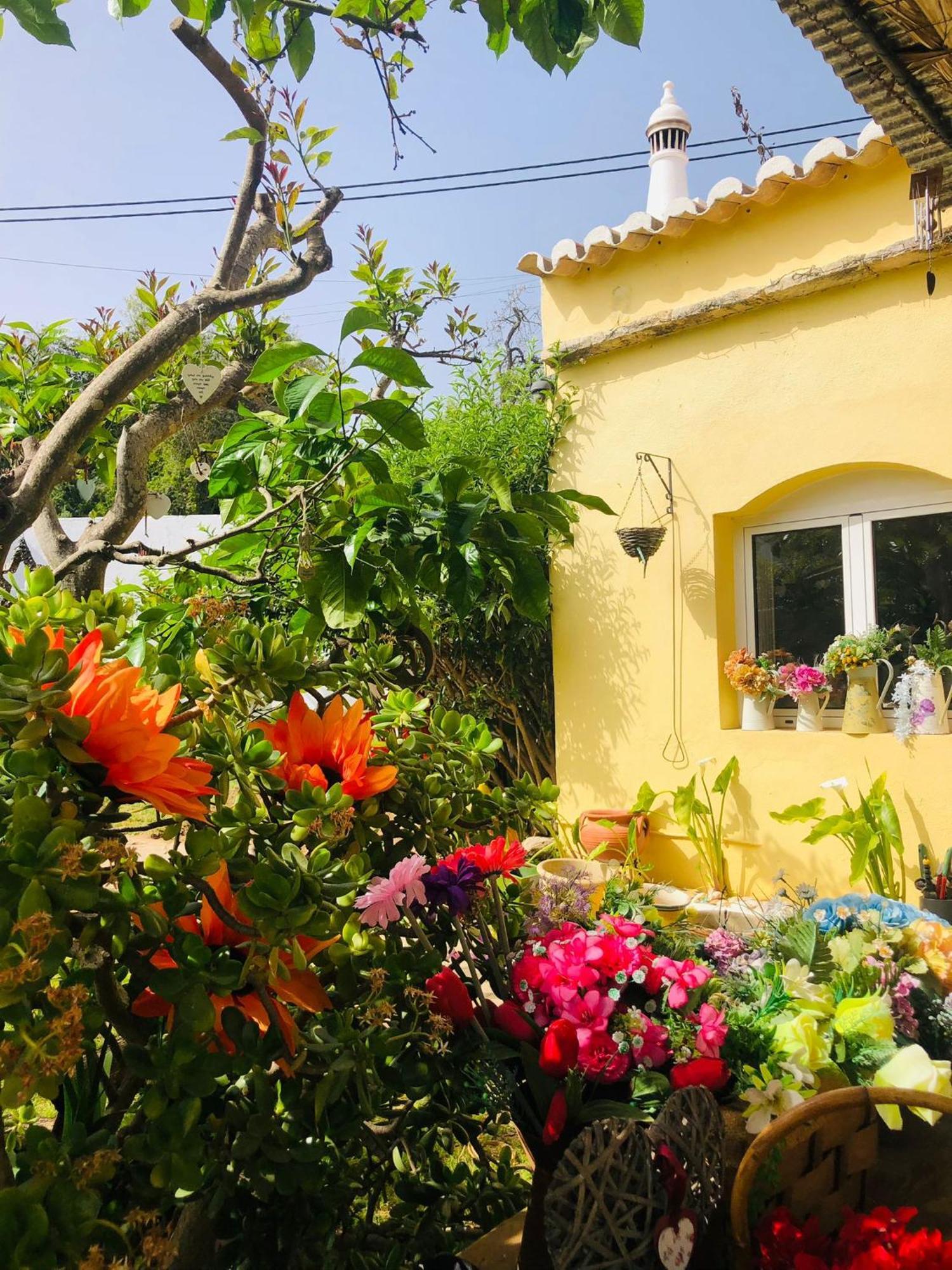 Casa De Mondo بلوكويم المظهر الخارجي الصورة